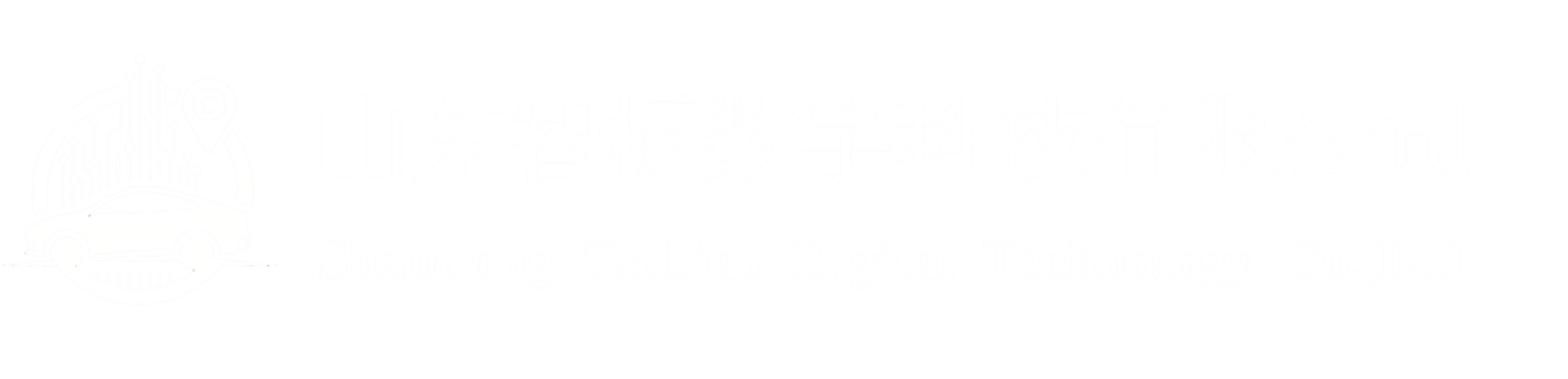 山东智标数字科技有限公司